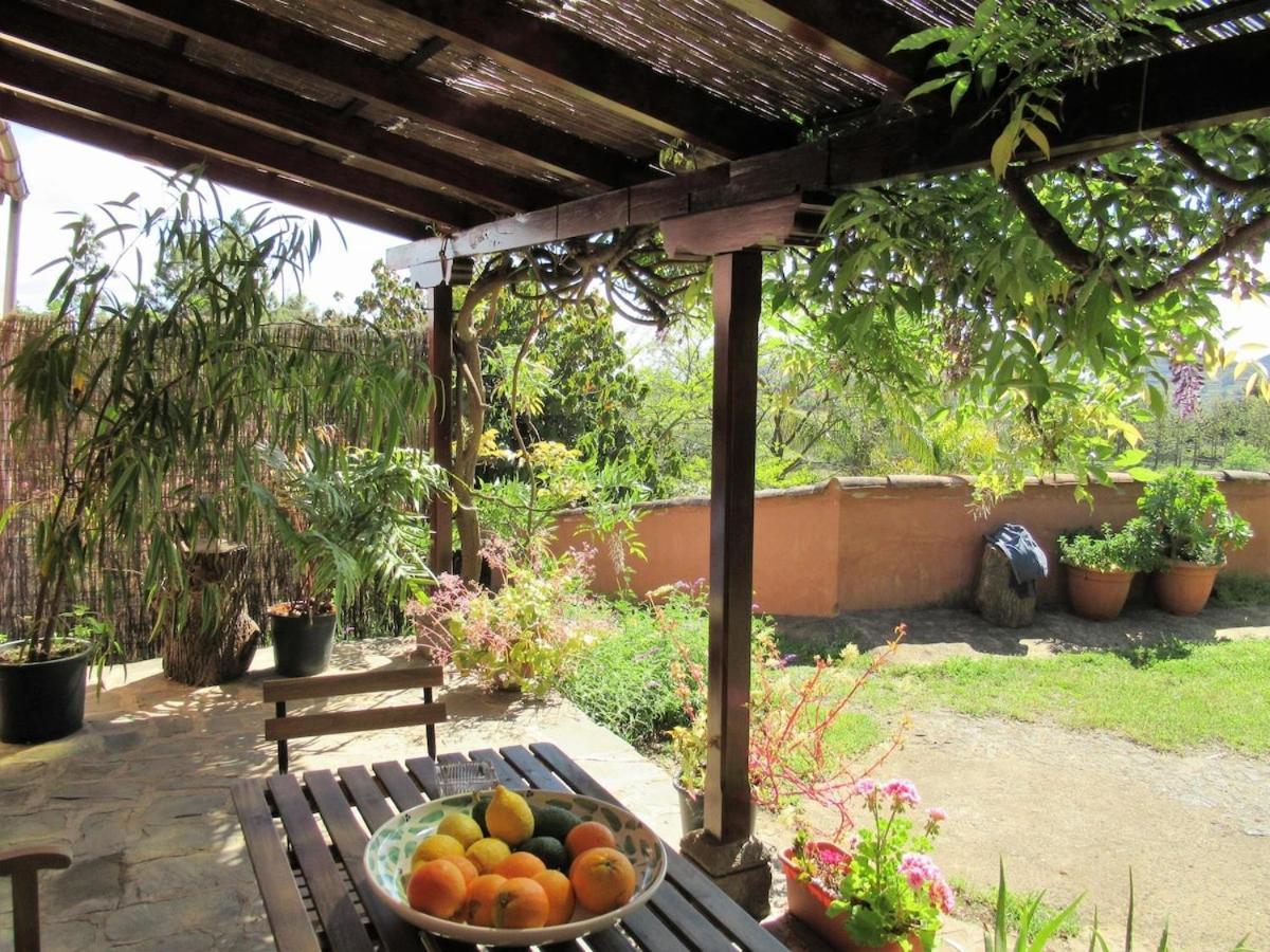 Casa Rural El Alpendre Vega de San Mateo Extérieur photo