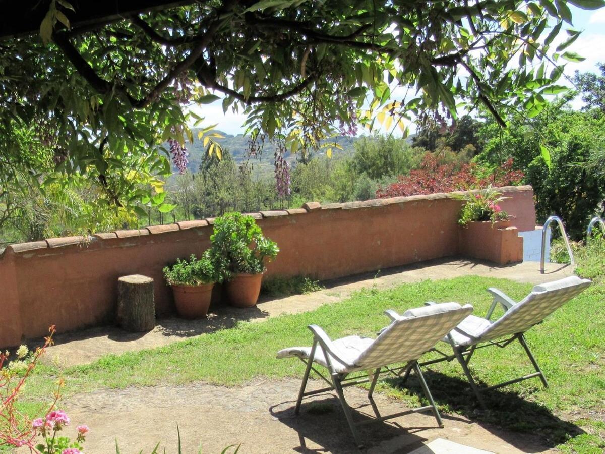 Casa Rural El Alpendre Vega de San Mateo Extérieur photo